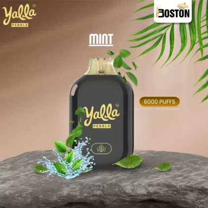 Yalla Pebble Mint 20mg/ml-6000 puffs