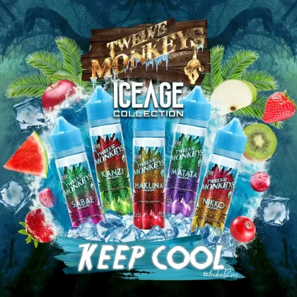 12 Monkeys - Ice Age 60 ml Freebase