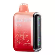 GEEKBAR PULSE 9000 Disposable