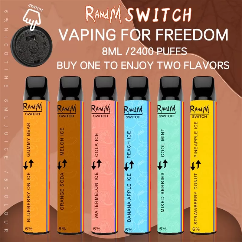 RandM Switch 2in1 2400 Puffs Disposable Vape Wholesale Dual Option Compact Design