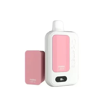 7Daze Clickmate Disposable Vape Kit Wholesale – 15,000 Puffs, Mesh Coil, USB-C Charging, Portable and Compact Design
